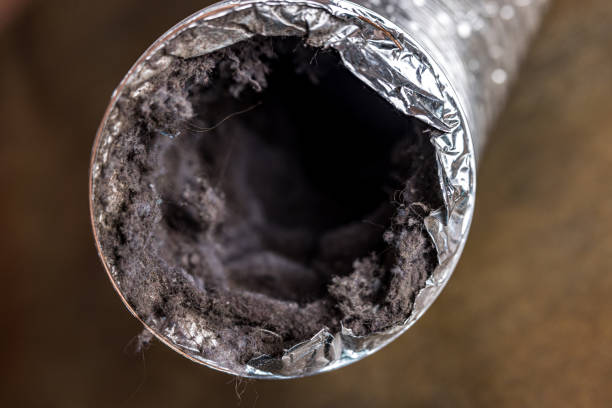 Best Duct Cleaning Specialists  in USA